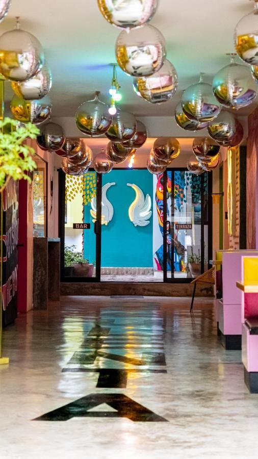 Hotel Suculenta Boutique San Cristóbal de Las Casas Extérieur photo
